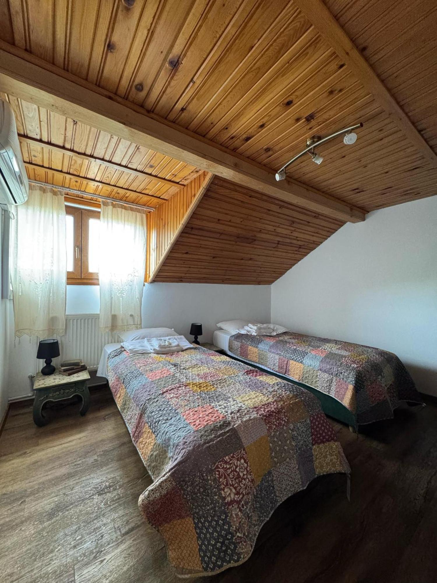 Vila Speranta Plescoi Room photo
