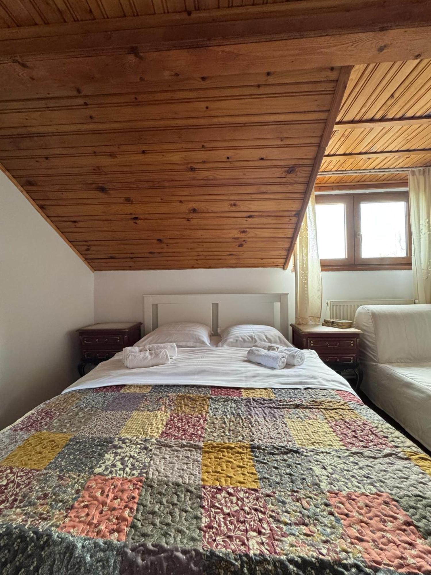 Vila Speranta Plescoi Room photo